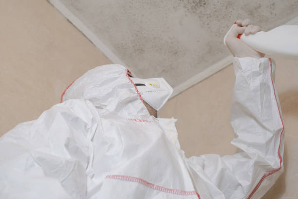 Best Residential Mold Remediation in Fostoria, OH